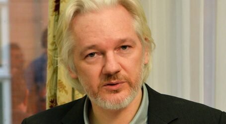 آسانج٬ أو حتمية المعركة القضائية في فوه  الذِّئآب