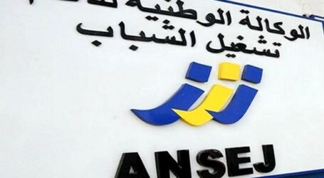 تجميد مؤقت للمتابعات القضائية ضد مقاولين شباب