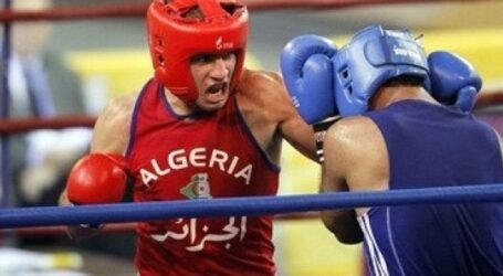 بطولة إفريقيا للملاكمة: الجزائر تتوج باللقب الافريقي