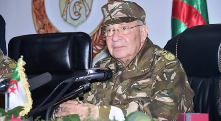 قايد صالح : الخروج عن السياق الدستوري في حل الازمة يعني الوقوع في الفوضى