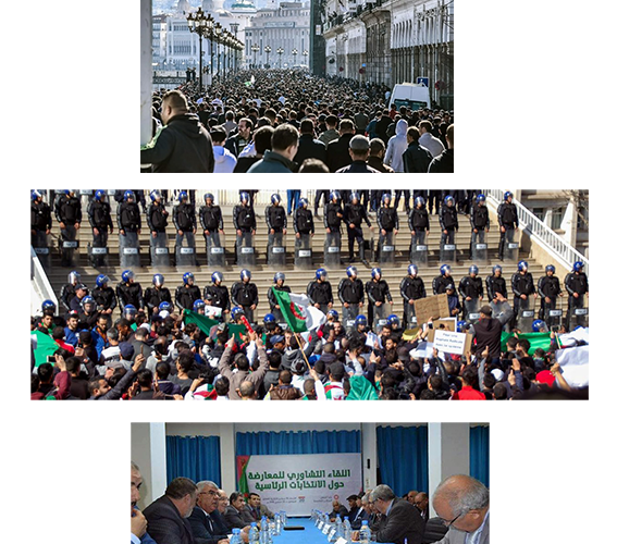 reaction-report-presidentielles-algerie