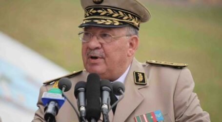 العدل والإنصاف لتطهير البلاد من الفساد