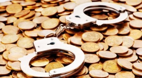 اتخاذ الإجراءات الكفيلة بضمان استمرار نشاط المركبات الصناعية المتابع أصحابها قضائيا