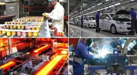 ارتفاع نسبة اللانتاج الصناعي العمومي الوطني