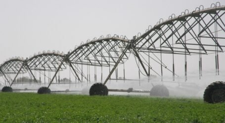 الارتكاز على الري التكميلي لرفع الإنتاج في  شعبة الحبوب