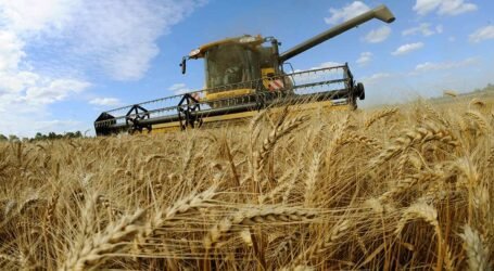 إجراآت لتدارك نقص هياكل التخزين الفلاحي