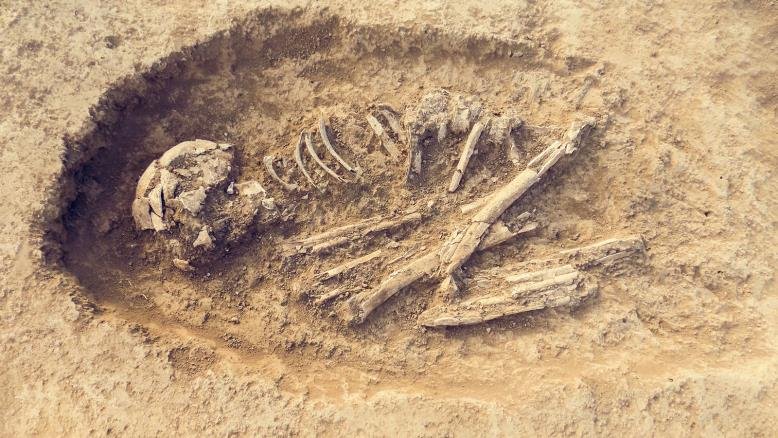 squelette-africain-europe