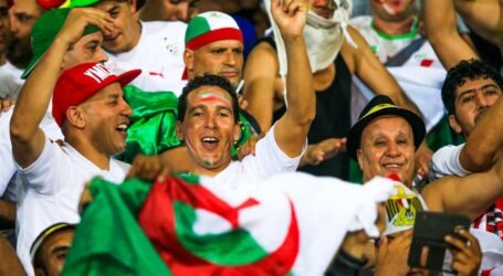 الجزائر-كوت ديفوار: توفير 450 مقعد لنقل المشجعين الجزائريين الى السويس المصرية