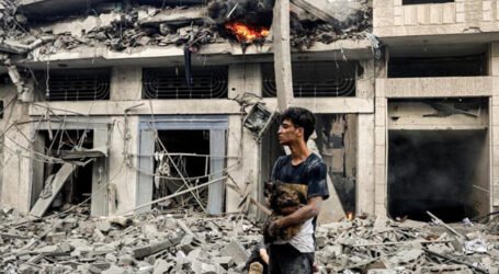 بوغالي يدعوالى ملاحقة مجرمي الكيان الصهيوني أمام الهيئات القضائية الدولية