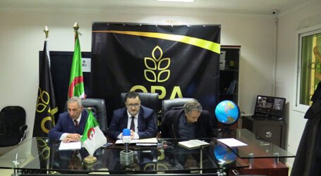 organisation-patronat-alerien