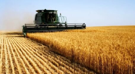 agriculture_algerienne