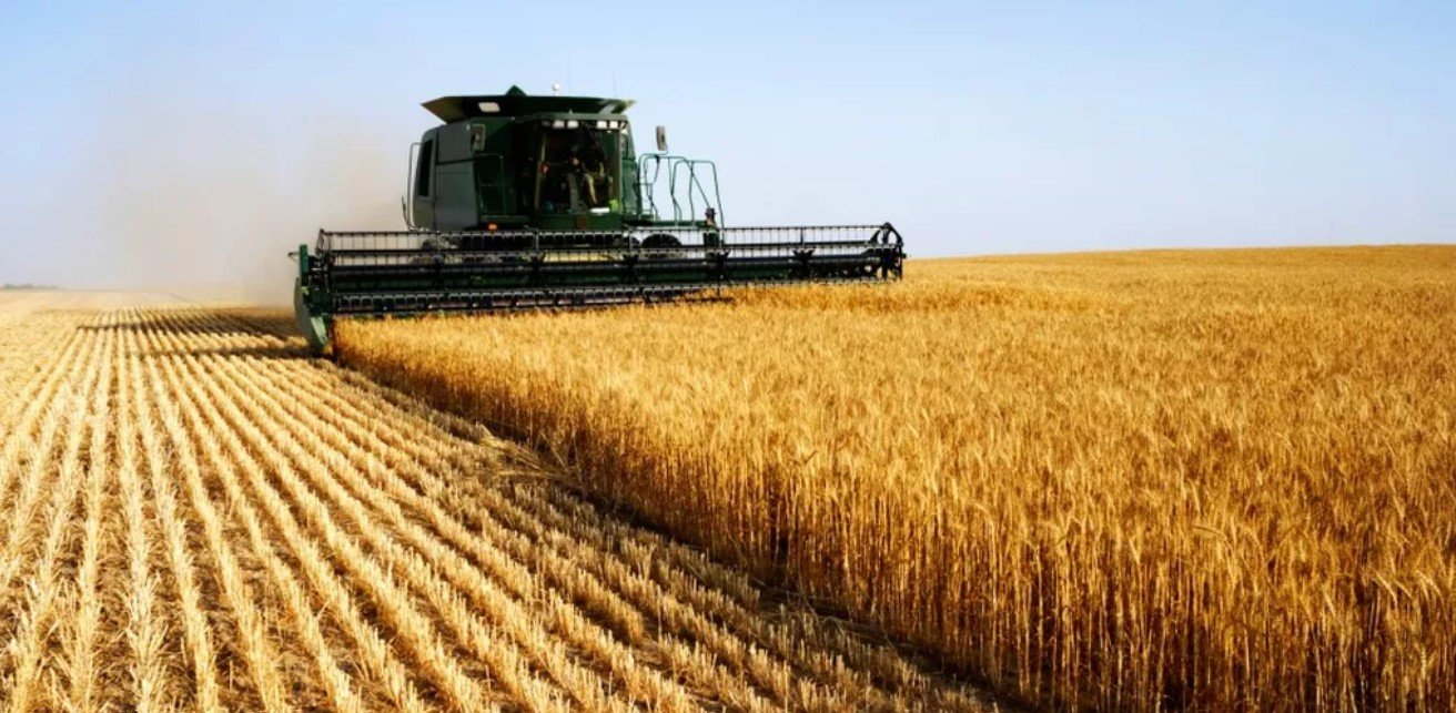 agriculture_algerienne
